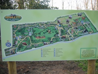 Howletts Wild Animal Park, Canterbury